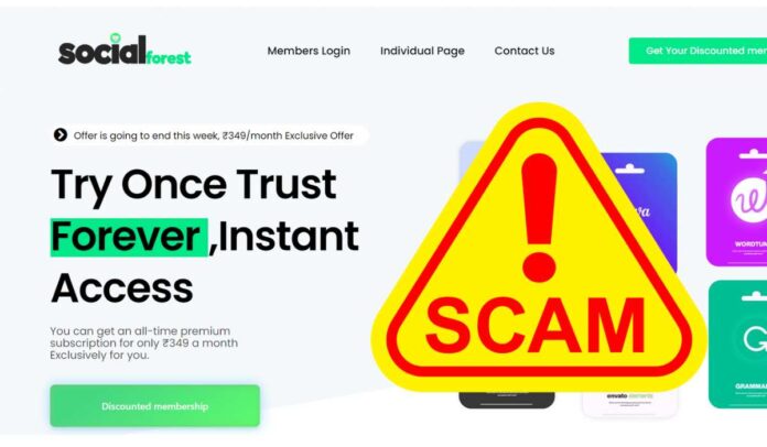 Socialforest.co Reviews | Fake Website with Group Buy services